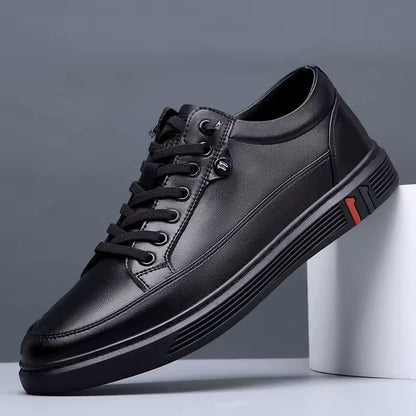 Men's Casual Shoes